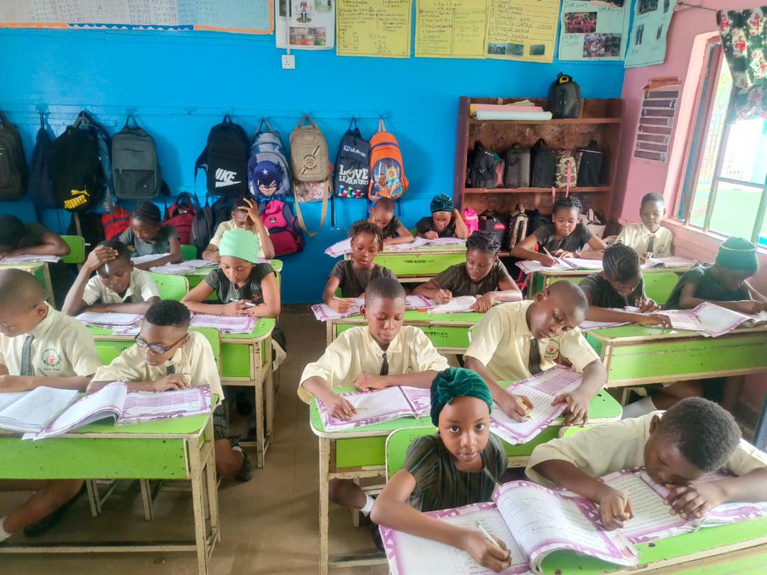 Primary School